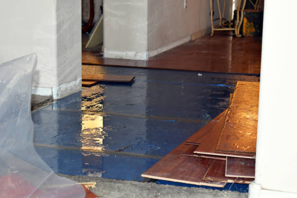 Professional Basement Flood Cleanup technician working in Powell, OH
